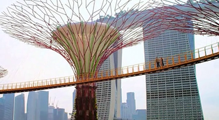 Good location use in the film, making use of the very unique parts of Singapore.